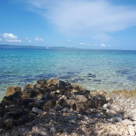 Daire Bruno Petrčane