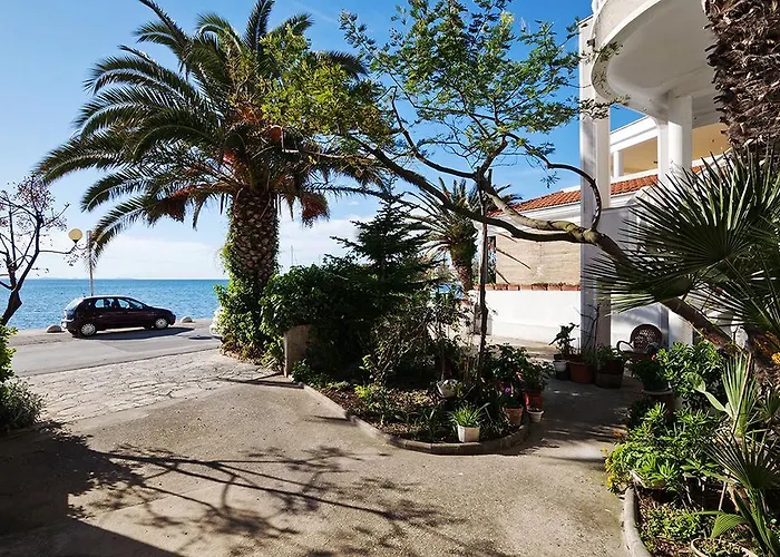 Bruno Петрчане